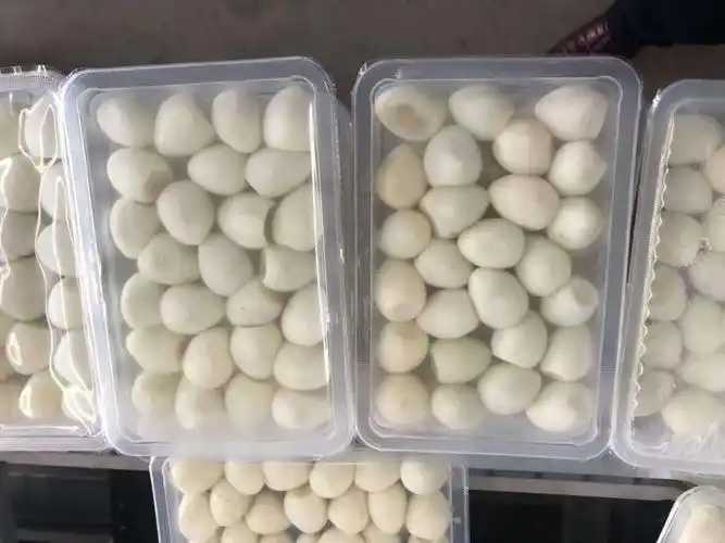 整線解決方案，優(yōu)化生產(chǎn)流程：鵪鶉蛋包裝神器來襲